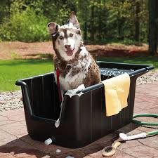 11 Best Outdoor Dog Baths Plus 5 Pro