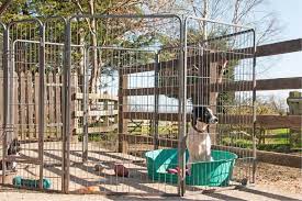 How To Build A Dog Kennel True Value