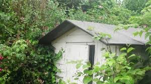 Old Garden Shed In The Rain In An