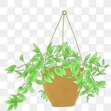 Hanging Plants Png Picture Hanging