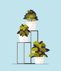 Potted Plants Icon Planting Greenhouse