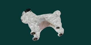 Bichon Frise Dog Breed 3d Model By