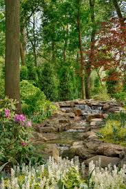 Tranquil Woodland Garden Features
