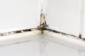 Black Mould At Home As Cold Weather