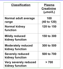 Renal Function Flashcards