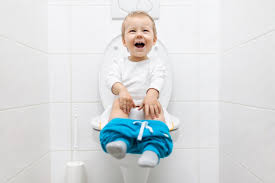 6 Best Potty Training Seats Of 2023