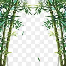Bamboo Forest Png Transpa Images