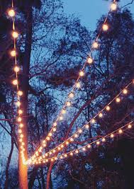 A Canopy Of String Lights In Our