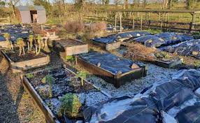 Preparing The Vegetable Garden For Winter