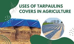 Tarpaulins Covers In Agriculture