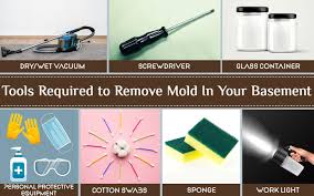 Get Rid Of Mold In Your Basement In 8
