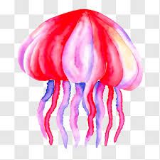 Colorful Jellyfish Watercolor