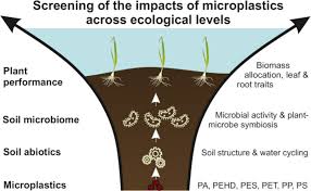 Soil Properties And Affect Plant