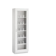 Healthcare Cabinet With Divided Shelves
