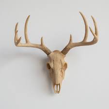 Natural Deer Skulls Skull Wall Decor