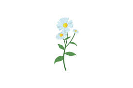 Spring White Flower Vector Icon Graphic