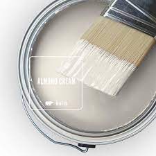 Interior Paint Primer Sample Dy61016