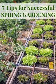 7 Tips For Successful Spring Gardening