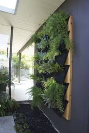 Oasis With A Diy Living Wall