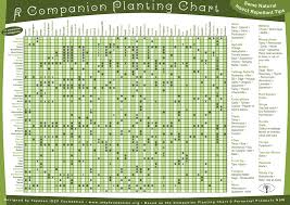 The Ultimate Companion Planting Guide