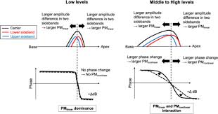 Conversion Of Amplitude Modulation To