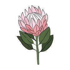 Protea Flower Simple Colored Icon