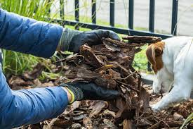 Your Dog From Eating Garden Mulch