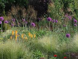 Prairie Style Planting To Your Garden