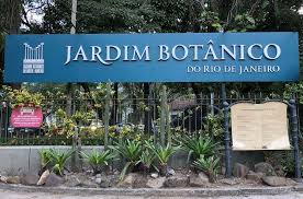 The Botanical Garden Of Rio De Janeiro