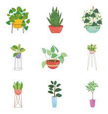 Premium Vector Icon Set Of House Plants