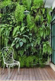 12 Simple Front Garden Ideas Perth