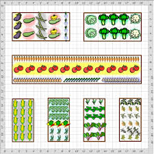 Vegetable Garden Layout Basics