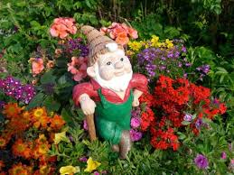 The Enchanting World Of Garden Gnomes