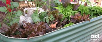 Wicking Beds Bulleen Art Garden