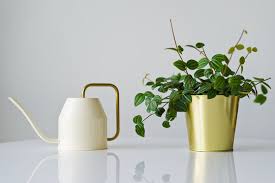 Watering Can Icon Images Browse 107