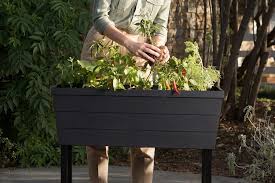 The Best Raised Bed Gardens To Make