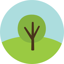 Plant Tree Icon