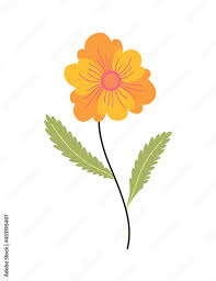 Spring Flower Botanical Fl Icon