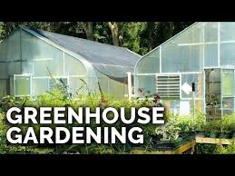 Greenhouses 101 Everything You Need To