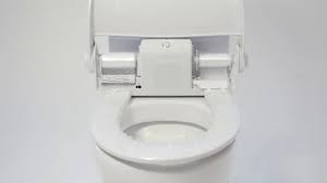 Toilet Seat With Automatic Seat