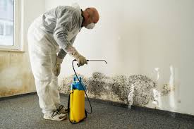 Mould Remediation Toronto Mold