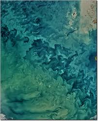 Nasa Ocean Color