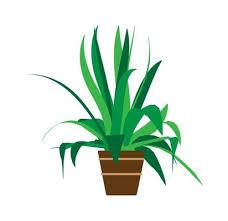 Flower Pot Drawing Vector Art Icons
