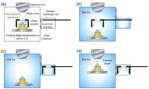 glossary of sem terms