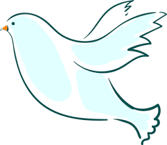 Bird Drawing Pattern Png Images For