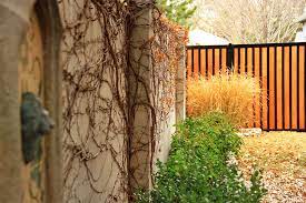 11 Backyard Fence Ideas Beautiful