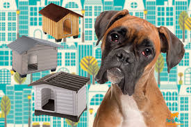 Finding The Right Size Of Dog House