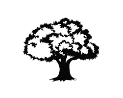 Buy Tree Outline Svg Tree Clipart