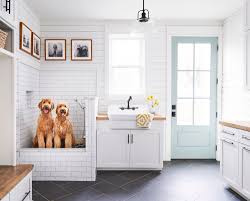 16 Dog Room Ideas For A Functional Pup
