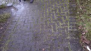 How To Remove Moss From Pavers A